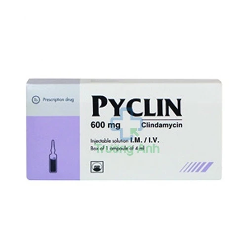Pyclin 600 tiêm - Thuốc điều trị nhiễm khuẩn hiệu quả
