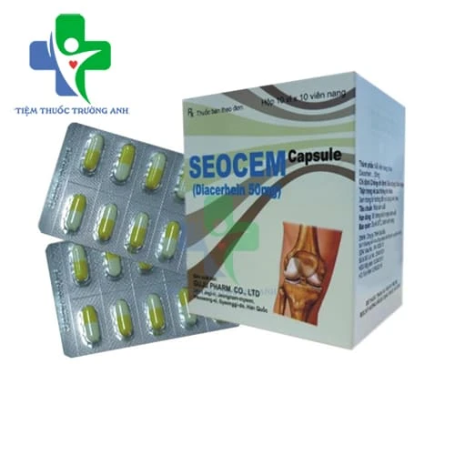 Seocem Capsule Guju Pharma - Thuốc điều trị dài hạn bệnh thoái hoá khớp