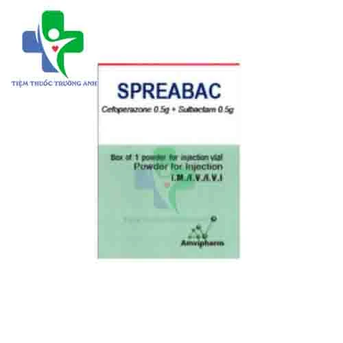 Spreabac Amvipharm - Thuốc trị nhiễm khuẩn hiệu quả