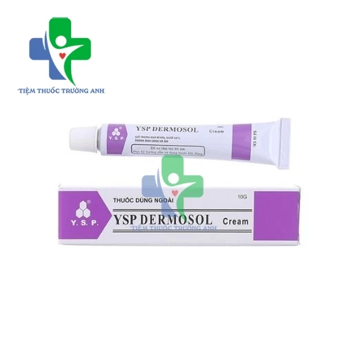 YSP Dermosol Cream 10g - Thuốc điều trị các bệnh lý ngoài da hiệu quả