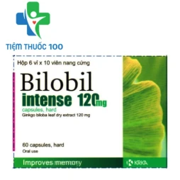 Bilobil Intenes 120 capsules, hard - Tăng cường tuần hoàn máu 