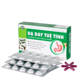 Dạ dày tuệ tĩnh - Hỗ trợ điều trị viêm loét dạ dày, tá tràng