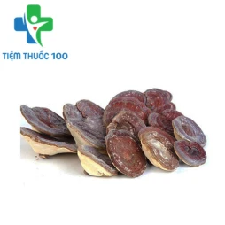 Nấm linh chi núi đá - Hỗ trợ bảo vệ sức khỏe hiệu quả của Hàn Quốc