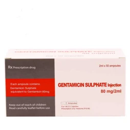 Gentamicin sulphate injection - Thuốc điều trị nhiễm khuẩn hiệu quả