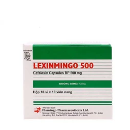 LEXINMINGO 500 - Thuốc chống nhiễm khuẩn của Ấn Độ