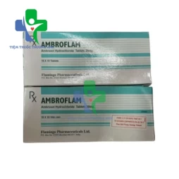 Ambroflam 30mg Flamingo Pharma - Thuốc điều trị các bệnh về hô hấp