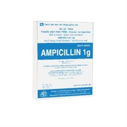 Ampicillin 1G Mekophar