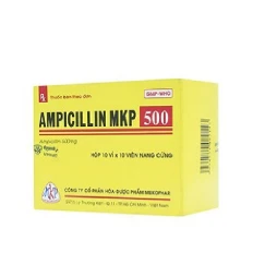 Ampicillin 500Mg Mekophar