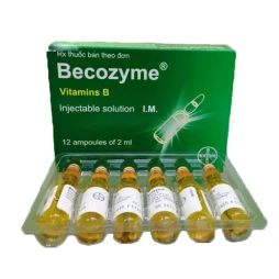 Becozyme - Thuốc phòng ngừa, bổ sung Vitamin nhóm B hiệu quả