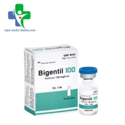 Bigentil 100 Bidiphar - Điều trị nhiễm khuẩn hiệu quả