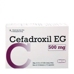 Cefadroxil EG 500mg - Thuốc kháng sinh trị nhiễm khuẩn hiệu quả