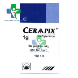 Ceraapix - Thuốc điều trị nhiễm khuẩn hiệu quả