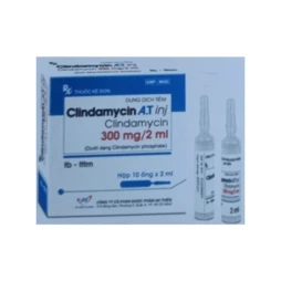 Clindamycin A.T Inj - Thuốc điều trị nhiễm khuẩn hiệu quả