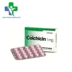 Colchicin 1mg Danapha - Điều trị các đợt cấp của bệnh gút