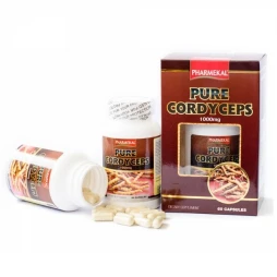 Đông Trùng Hạ Thảo Pure Cordyceps