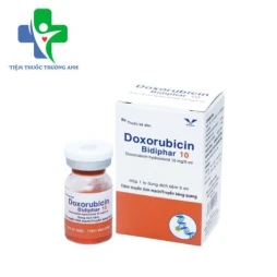 Doxorubicin bidiphar 10 - Điều trị các bệnh ung thư