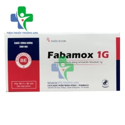 Fabamox 1g - Thuốc kháng sinh điều trị nhiễm khuẩn hiệu quả
