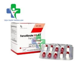 Fenofibrate 300 A.T An Thiên