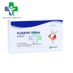Floxaval 500mg - Thuốc điều trị nhiễm khuẩn hiệu quả