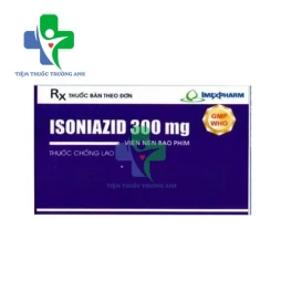 Isoniazid 300mg Imexpharm