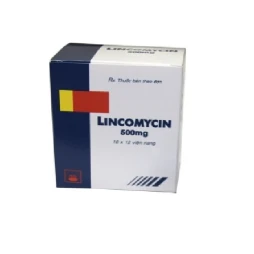Lincomycin 500mg - Thuốc điều trị nhiễm khuẩn hiệu quả của Pymepharco