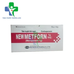 Newmetforn Inj. 1g - Thuốc điều trị nhiễm khuẩn