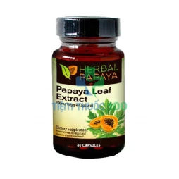 Papaya Leaf Extract 600mg - hỗ trợ bệnh nhân Ung thư của Mỹ