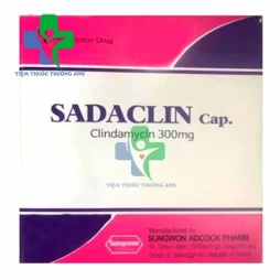 SADACLIN - Thuốc kháng sinh điều trị nhiễm khuẩn hiệu quả 