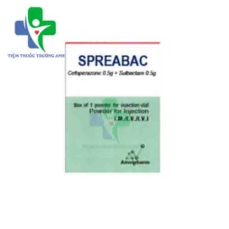 Spreabac Amvipharm - Thuốc trị nhiễm khuẩn hiệu quả