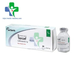 Tercef 1g Balkanpharma - Thuốc điều trị nhiễm khuẩn