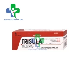 Trisula 20g - Kem bôi trị viêm da hiệu quả của Dược phẩm An Thiên (10 hộp)