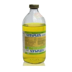 Vitaplex - Dịch truyền bổ sung Vitamin B, Vitamin C hiệu quả