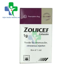 Zoliicef 1g Pymepharco - Thuốc điều trị nhiễm khuẩn hiệu quả